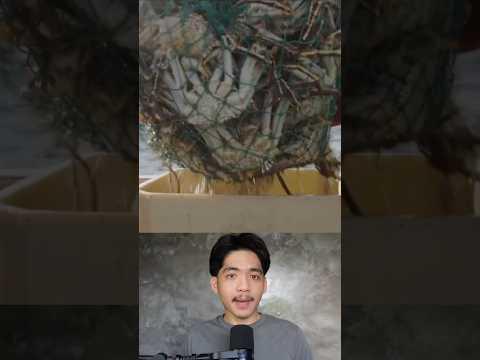 ได้ดีเพราะโดนรุก