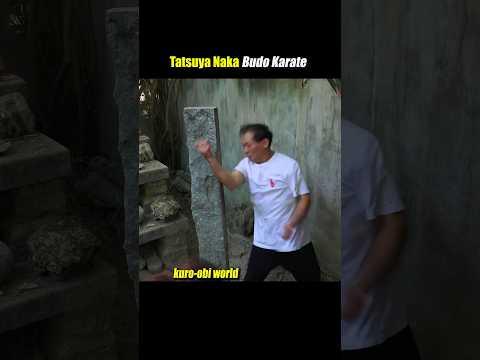 Iron fists collide! Amazing kung-fu training!