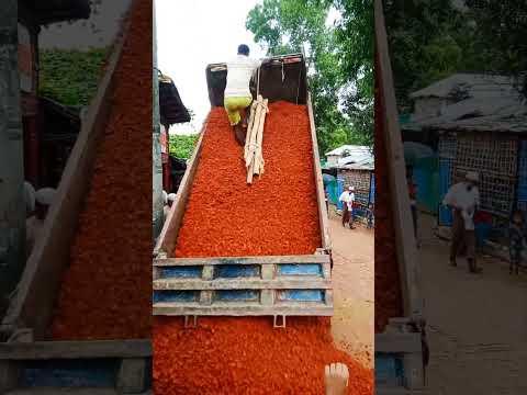 ভাইরাল করে দাও