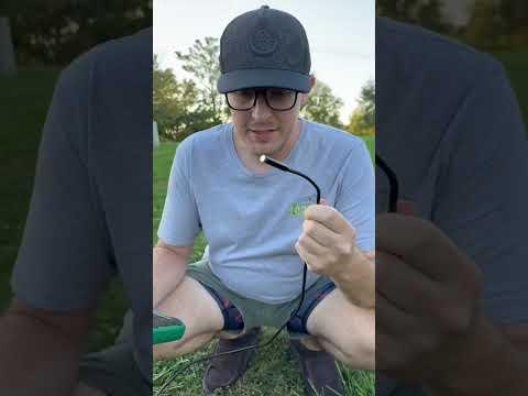 We Stuck a Camera Inside a Giant Hornet Nest! #hornets #hornetnest #hornetnestremoval #beekeeping