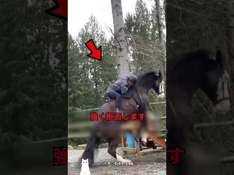 見た目で何度も捨てられた馬