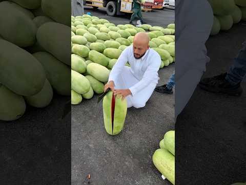 Cara orang arab jualan semangka