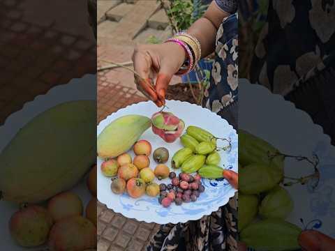 fruits harvesting #blackberry #junglejalebi #falsa #organic #fruits #mygarden #gardening #shorts