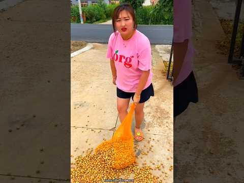 Amazing Fresh Hazelnut 🌰🌰 | Satisfying Dry Fruit with Rural Farmer #shorts #fruit #youtubeshorts