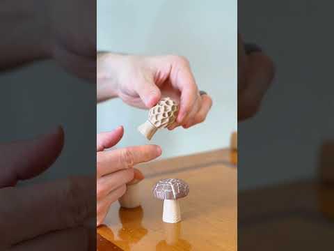 Plants that Play with You