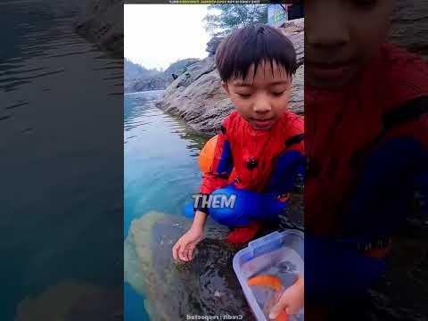 The Fish Keeps Coming Back To The Boy