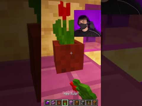 Enderman Familly House Upgrade🥺#shorts