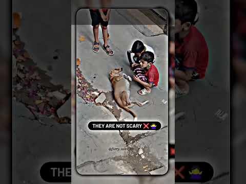 True Friends Love Dog 😎🎯 Sigma rule | inspirational quotes | motivational quotes #shorts #motivation