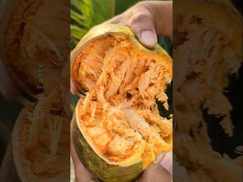 Unique & Delicious Fruits You’ll Find Only in India! #shorts #farming #plants
