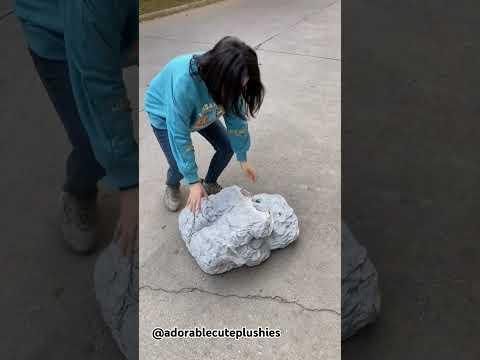 #GiftIdeas #PlushieGifts #HolidayShopping #Ytshorts #UniqueToys #StuffedGift