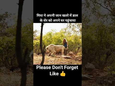 Mia risked her life to bring the lion home 🦁 #shorts