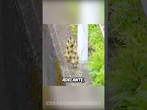 Esta madre es un ejemplo a seguir 🙌