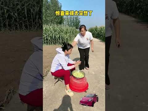 Wuling Bingo, Wuling Motors' surprise came too suddenly