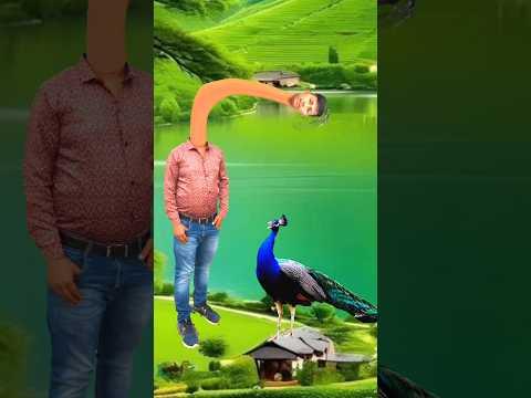 Artificial #peacock water transport to rescue drought special effects #funny  #shorts  #comedy