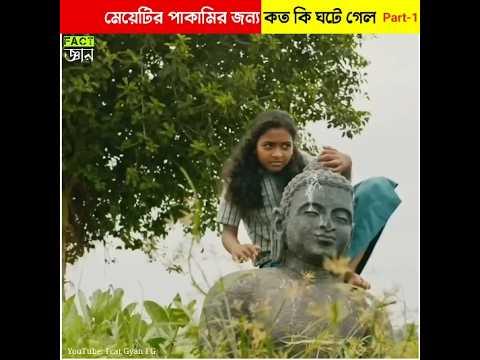 মেয়েটির পাকামো জন্য কত কি ঘটে গেল All this happened because of a stupid girl #shorts