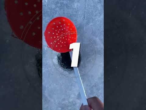 ROBLOX OLD LOGOS THAT TODAY KIDS HAVE NEVER SEEN! #shorts