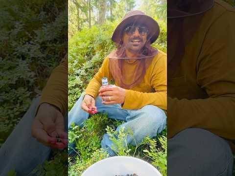 അവസാനം പണി പാളി 😅 #finlandmallu #reels #viralreels #postivevibes