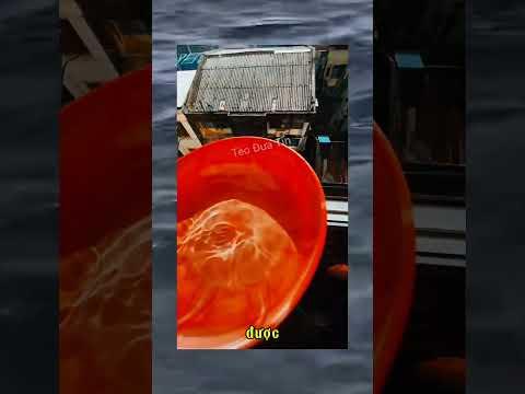 Đổ nước xuống đường cho nhiều người mát 😂