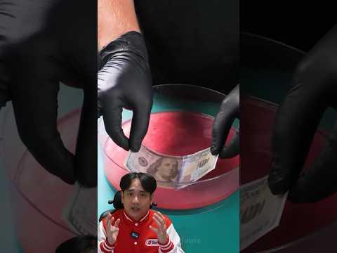 คุณจะต้องไม่เชื่อแน่ๆ ว่าธนบัตรจะเอามาทำเป็นสิ่งนี้ได้ #negi #diy