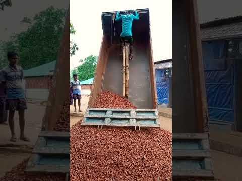 ভাইরাল করে দাও