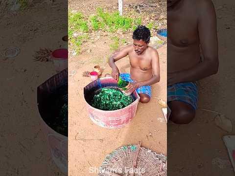 Colourful चूजों को कभी मत खरीदना 😲