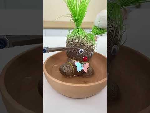 Squirrel Nutcraker, grass doll and transparent brick