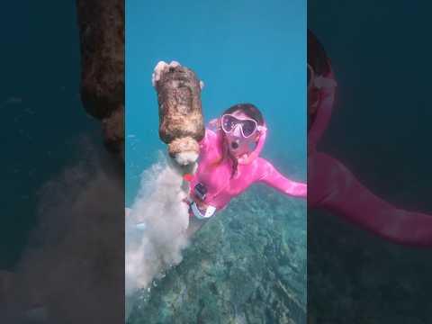 Ocean Cleanup Treasure Hunt! Save my Animal Friends! 🐢🐬🐳🐙