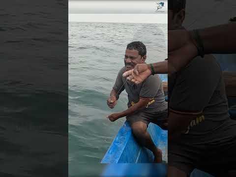 Grouper Fish Caught Using Live Baby Octopus #fishing #seafishing #grouperfishing