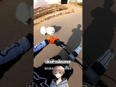 ชายคนนี้ขี่รถไล่หมากลับเพื่อสั่งสอน 😂