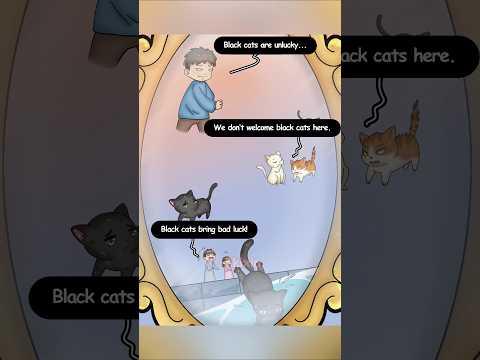 Lucky Black Cat #animation #shorts #cat