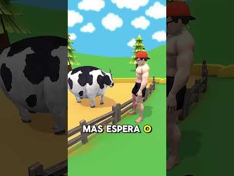 A Vaca Come Muita Comida Sem Parar 😂