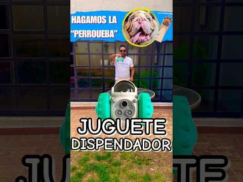 No compres este dispensador de croqueta🐶, sin antes ver el video