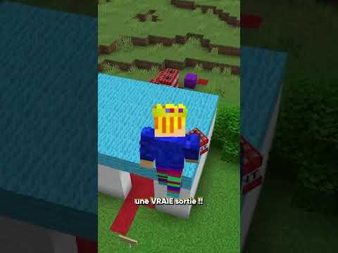 Ce Labyrinthe est INFINI ?