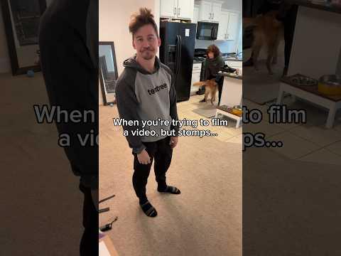 Nala abandoned me for grandma stomps 😒