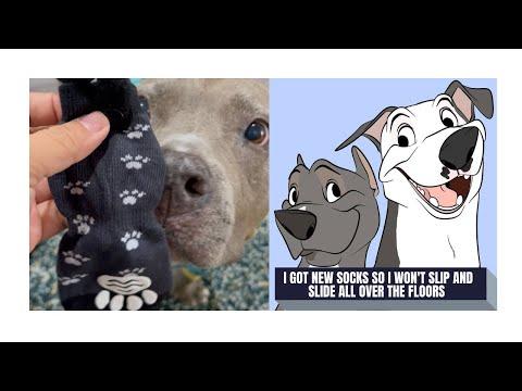 I BOUGHT MY DOG SOCKS WITH GRIPS SO HE DOESN'T SLIP & SLIDE ON THE FLOOR B/C HE'S GOT HIP DYSPLASIA