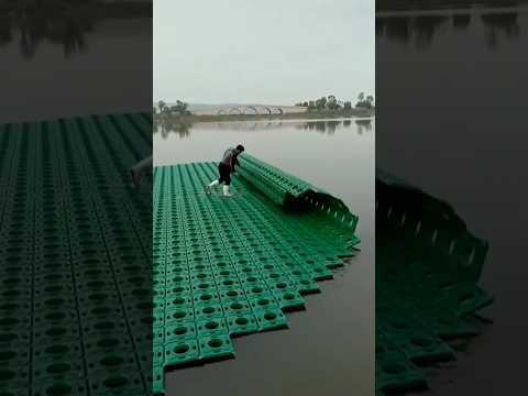 Menanam Padi di Atas Air #farming