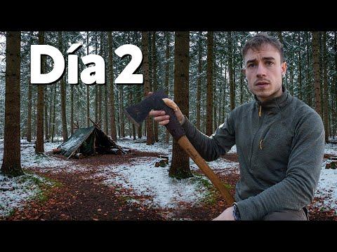 Refugio Precario - Sobrevivo en el Abetal Oscuro - Día 2