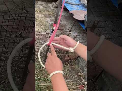 Ancient Escape Secrets, Knot Escape Magic