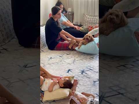 Şu bakışlar herşeyi özetliyor😂😂