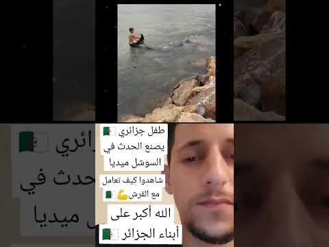 شاهدوا طفل جزائري يصنع الحدث في السوشل ميديا شاهدوا كيف تعامل مع القرش