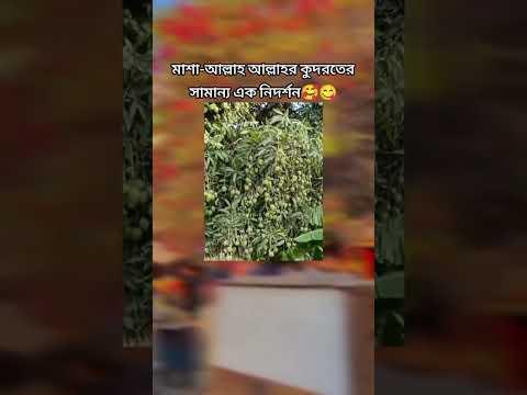 মাশা আল্লাহ্ আল্লাহ্ কুদরত 🥰🥰🥰🥰🥰🥰🥰 #song #music #bollywood #love #hindisong #newsong