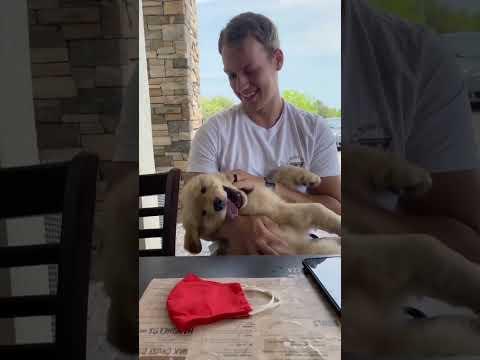 Watch us Fall in Love with our Puppy!