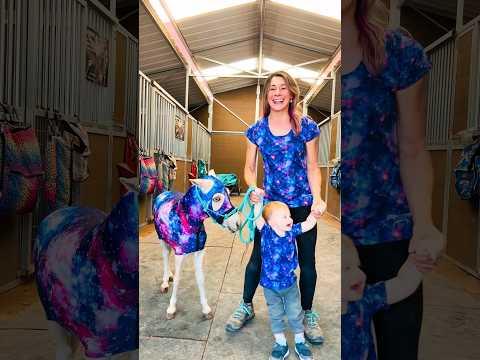 Adorable Pony and Toddler Duo #shortsvideo 🐴💜