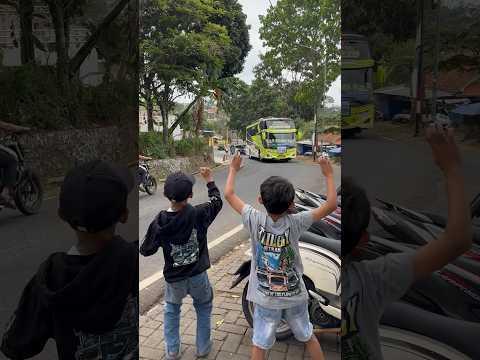 BASURI BUS PINNOCIO ASYROF #teloletbasuri #busmania