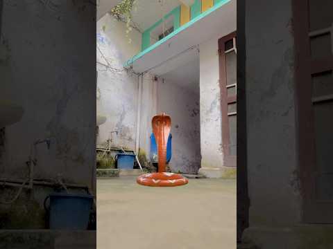 Molana aur shaitaan 👿☠️मौलाना और शैतान 🤯👿👽#shortsfeed #emotional #namaz #ayatulkursi #shorts