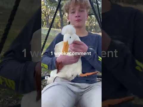 How long would you keep me?