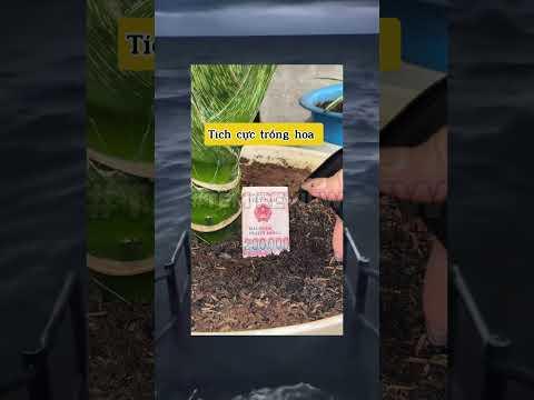 tưới cây tiền #memes #meme #funny #haihuoc