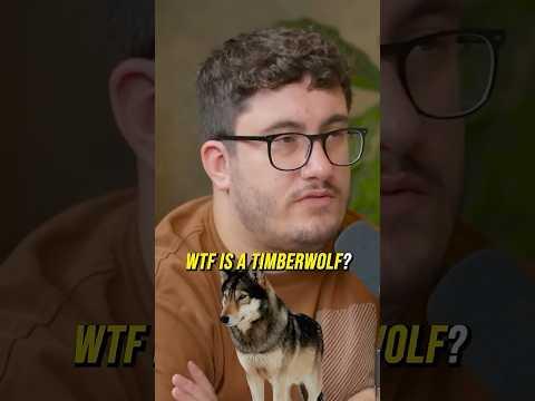 How Much Money NBA Season Ticket Holders Make