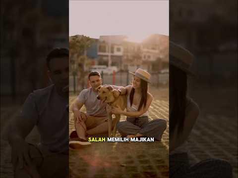 Anjing liar yg malang ini berhasil menjemput takdirnya sendiri dan berakhir happy ending🥺❤️