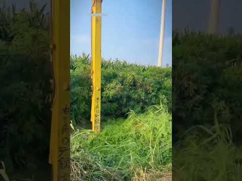 இந்த இயந்திரம் பல கோப்ராக்களை சுடுகிறது! 💀🐍 #tamilshorts